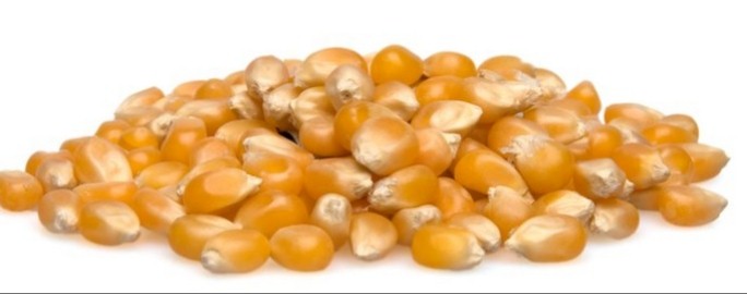 Popcorn kernels 220g 
